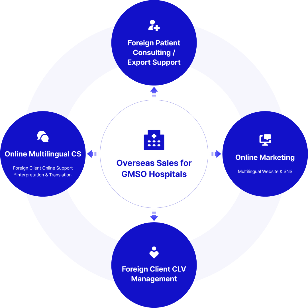 GMSO process diagram