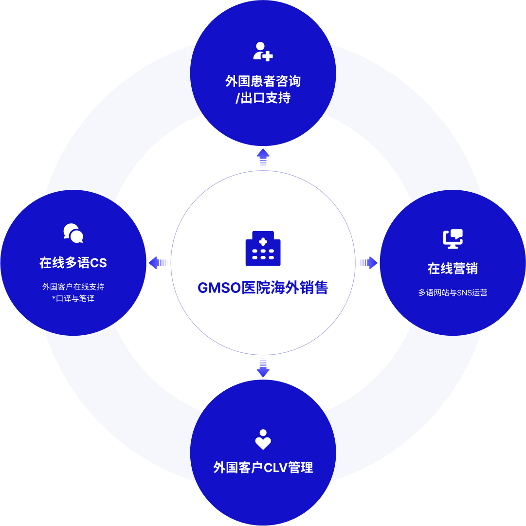 GMSO 流程图
